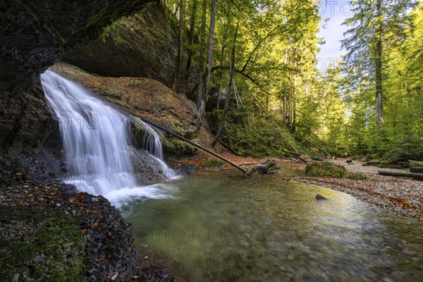 A wide waterfall flows through a dense forest, surrounded by rocks and branches with autumnal