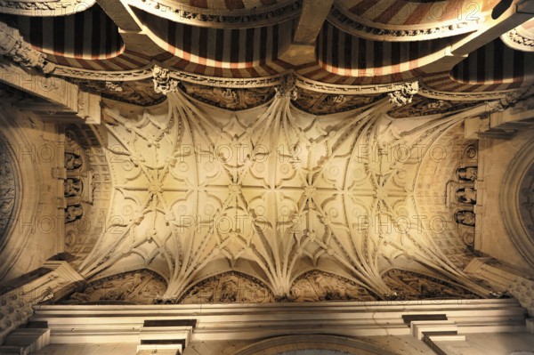 La Mezquita, Mosque, Cathedral of Cordoba, Cordoba, Andalusia, Spain, Europe, Elaborately designed
