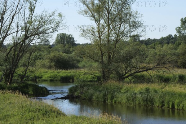 The Sude and tributaries of the Elbe in the Suden lowlands between Boizenburg and Besitz. The Elbe