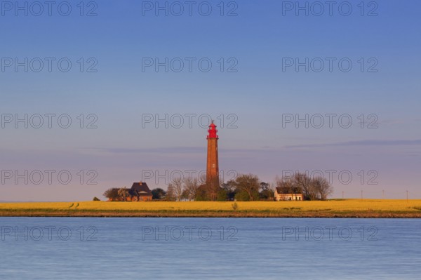 Flügge, Fluegge lighthouse in flowering rape field at sunset on Fehmarn island in the Baltic Sea in