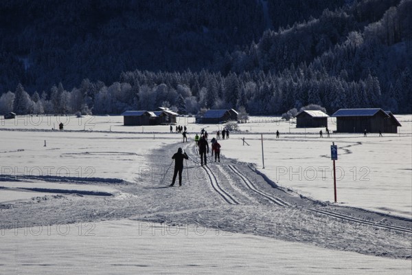 Winter landscape in the snow, cross-country skier on cross-country trail through snowy landscape,