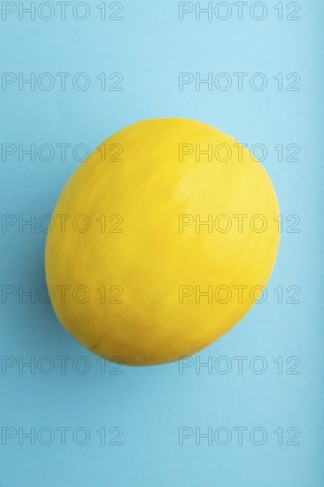 Ripe yellow melon on blue pastel background. Top view, flat lay, close up. harvest, healthy, vegan