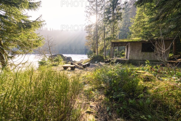 A simple hut on the edge of the forest with a view of a sunny lake, surrounded by forest,