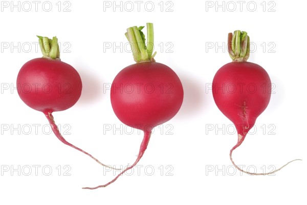 Three fresh red radishes are arranged side by side, each with bright green tops and distinct shapes