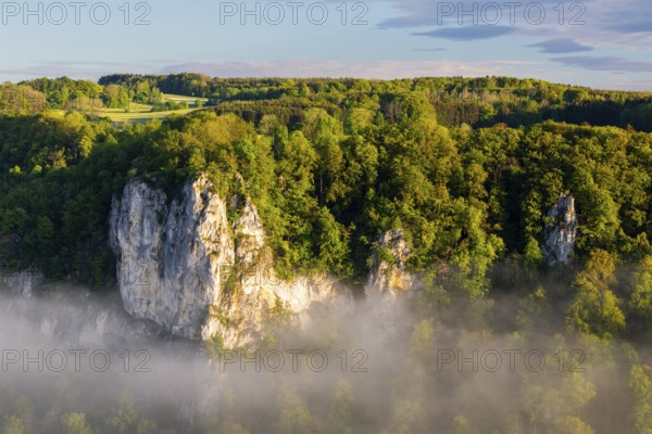 Limestone rock between mixed forest, fog, oak rock, Irndorf, Upper Danube nature park Park,