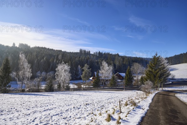 Winter landscape, snow, road, blue sky with veil clouds, Titisee-Neustadt, Black Forest,