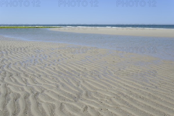 Beach at low tide with wave-like structure, current ripples in wet sand, blue sky, North Sea,