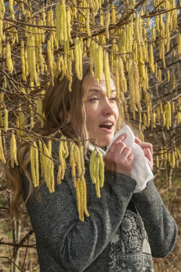 Young Caucasian woman with allergy problem stands by flowering hazel bush and sneezes into a