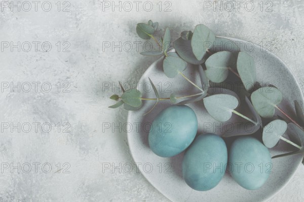 Easter colored eggs, in turquoise tones, on a gray plate, with a branch of eucalyptus, Easter card,