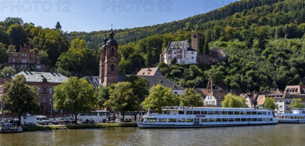 View of Miltenberg, with the parish church of St James and the castle, Lower Franconia, Bavaria,