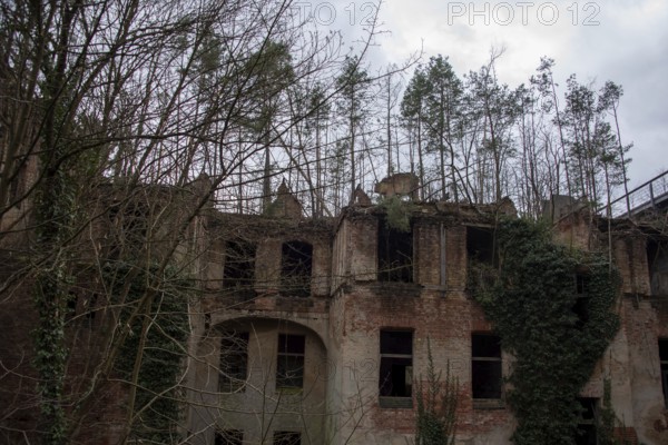 Remains of a destroyed building with empty window openings, surrounded by bare trees,