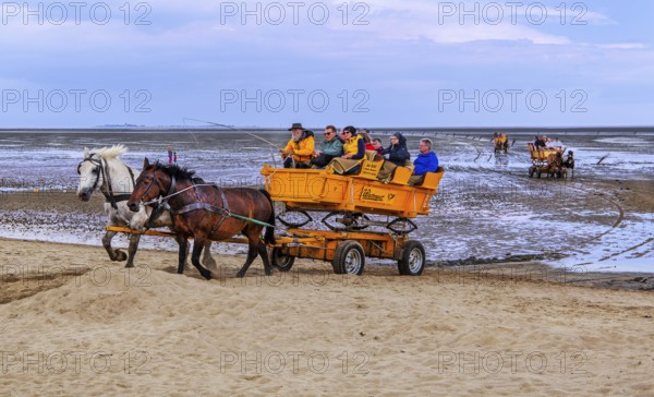 Mudflats in the Wadden Sea from the journey to the island of Neuwerk in the district of Duhnen,