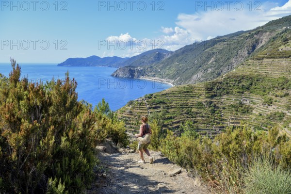 Hiking trail from Riomaggiore to Manarola, Cinque Terre, Province of La Spezia, Liguria, Italy,