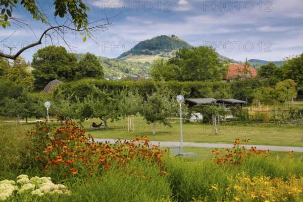 Pomologie Reutlingen, garden, public park, meadow, lawn, flowers, trees, lamps, footpath, behind