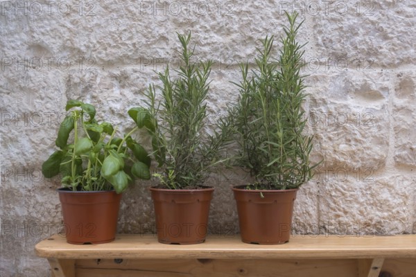 Wooden board with herb pots on a house facade in front of a restaurant, Polignano a Mare, Apulia,