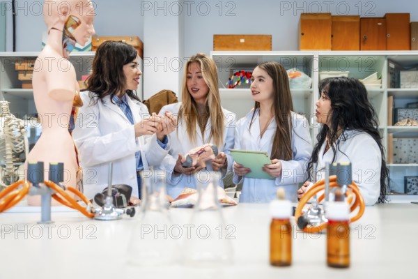 Four medical students collaborating on human anatomy project in university laboratory, analyzing