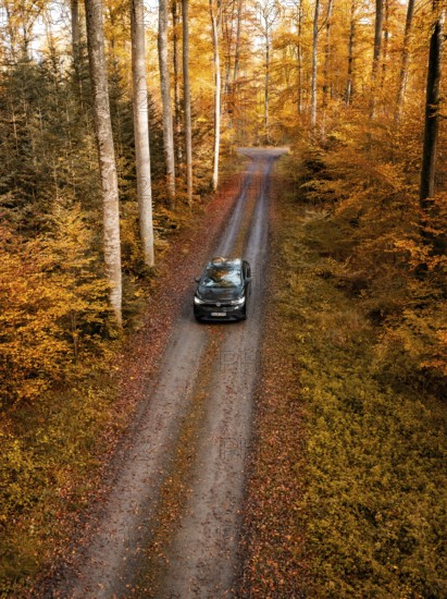 Vehicle on a lonely road in a dense, colourful autumn forest, electric car, VW ID5, Gechingen,