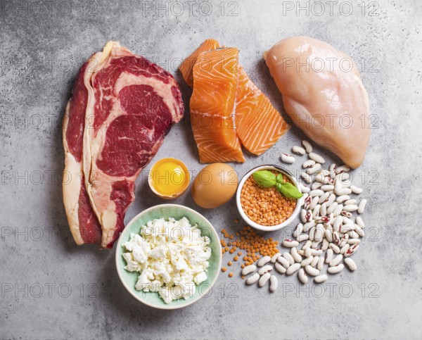 Assortment of natural sources of protein from food: meat, fish, chicken, dairy products, eggs,