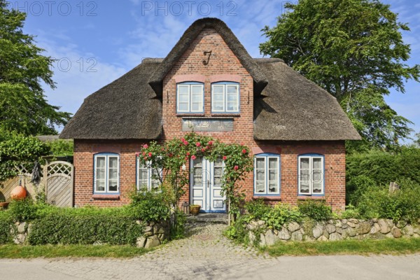 Thatched Frisian house in fog, Amrum, North Frisian Island, North Frisia, Schleswig-Holstein,