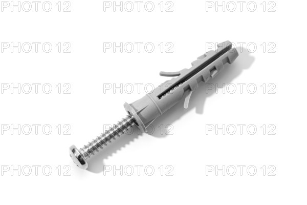 Plastic dowel and screw isolated on a white background. Expansion anchors or fixing dowel with