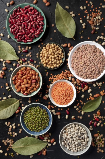 Various legumes, shot from the top on a dark background. Lentils, soybeans, chickpeas, red kidney