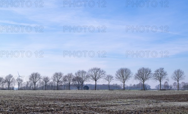 Winter landscape in the Münsterland