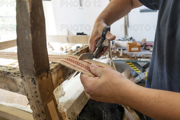 Upholsterer with traditional craft skills shortens a new strap on an old chair with scissors in his