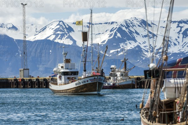 HUSAVIK, ICELAND, JUNE 29: Whale-watching boat enters Husavik harbor with anchored sailing boats