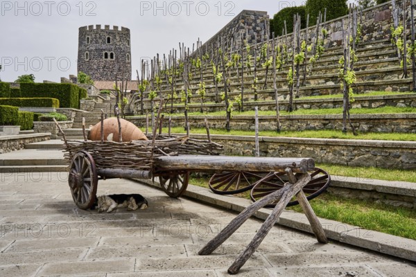 Old cart with a quevri, Kvevri, vineyard of the Rabati castle complex, Akhaltsikhe castle,