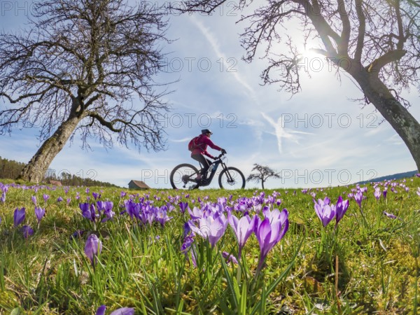 Cheerful young woman riding her electric mountain bike in a meadow with colourful blossoming