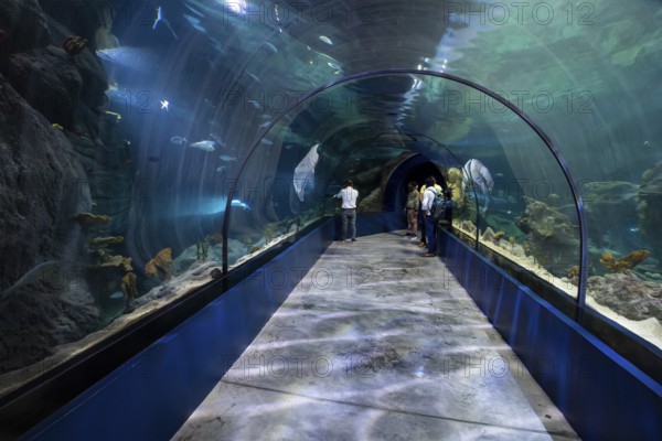 Exhibition room, aquarium, Odysseo Oceanarium Mauritius, show aquarium, large aquarium, old town,