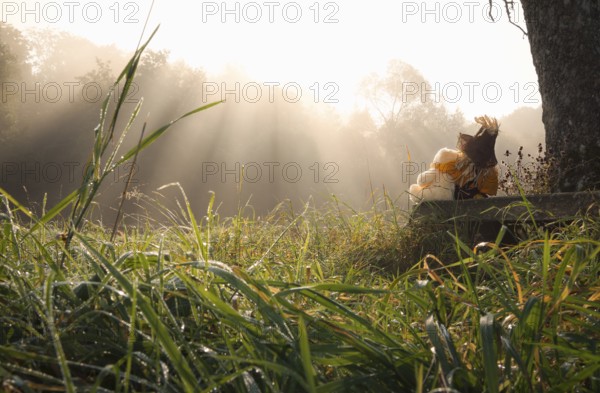 Partnership theme image with a teddy bear and a scarecrow embraced, sitting together on a wooden