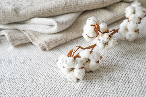 Neutral colored fabrics made from ecofriendly grown cotton and a branch with fluffy balls, concept