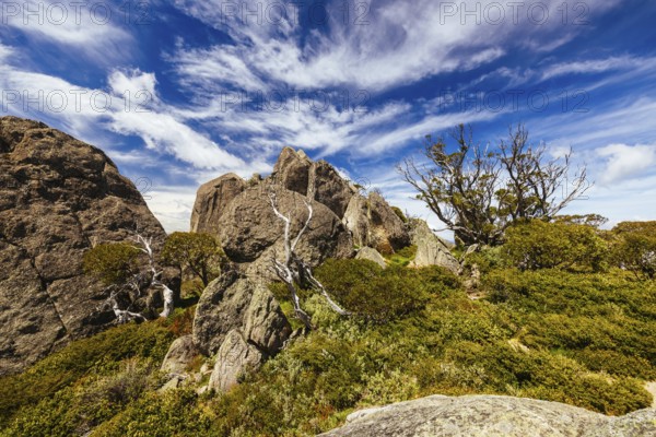 Landscape views at the summit of Porcupine Rocks on the Porcupine Walking Track on a summer's day