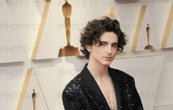 Timothée Chalamet at the 94th Annual Academy Awards held at the Dolby Theatre in Los Angeles, USA