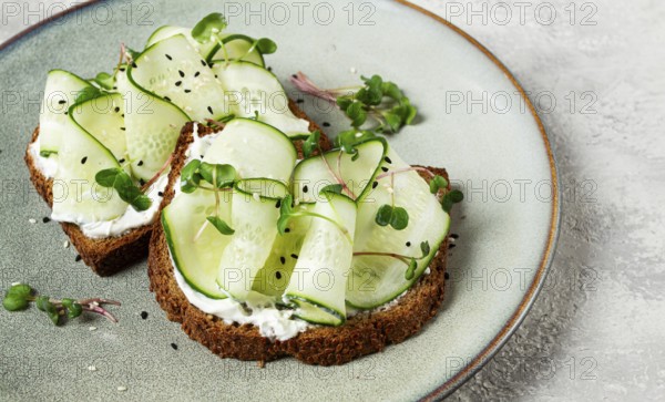 Breakfast, cereal bread sandwiches, cream cheese, sliced cucumber, with micro greenery on a light