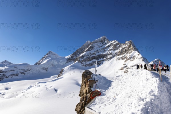 Mountain Peak Jungfrau 4158 Meters High and Aletsch Glacier in a Sunny Winter Day with Snowcapped