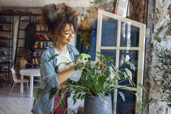 Happy plant lady. Young Afro American woman plant lover taking care of houseplant. Girl watering a