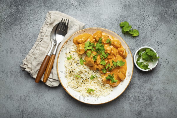 Traditional Indian dish chicken curry with basmati rice and fresh cilantro on rustic white plate on