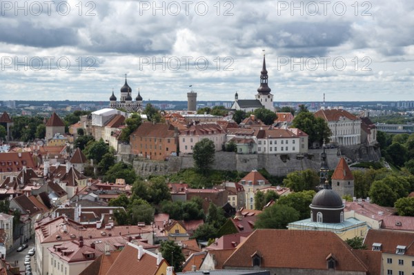 Tallinn Estonia cityscape. View from tower of Saint Olaf Church of old the city of Tallin. Toompea