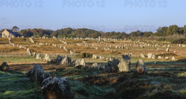 Prehistoric stone rows from Menec, Alignements de Carnac, Morbihan department, Bretagne Breizh