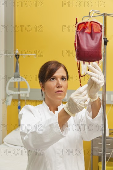 A nurse in hospital with blood bottle. Infusion of donor blood, A nurse in hospital with blood