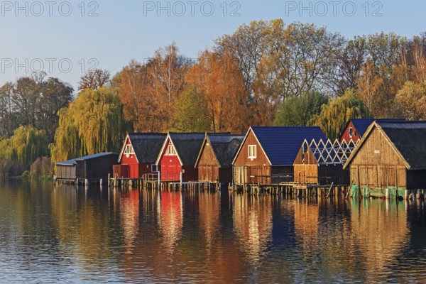 Boathouses on the Müritz near Röbel in Mecklenburg-Vorpommern in the evening light. With trees in