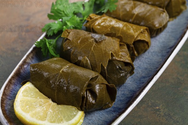 Dolma, minced meat with rice, in grape leaves, rolls with minced meat, on a plate, top view, no