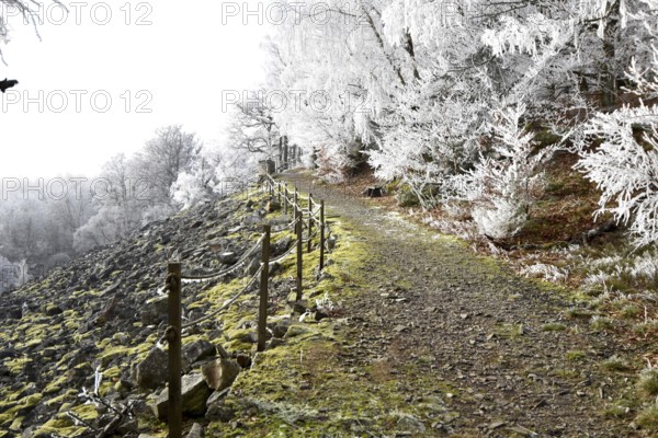 Hiking trail along the Mörschieder Burr in the Hunsrück-Hochwald National Park with hoarfrost and