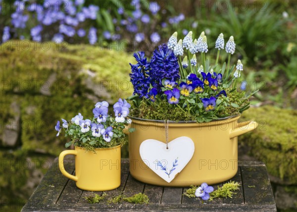 Spring flower arrangement with colourful pansies, hyacinths and grape hyacinths in yellow enamel