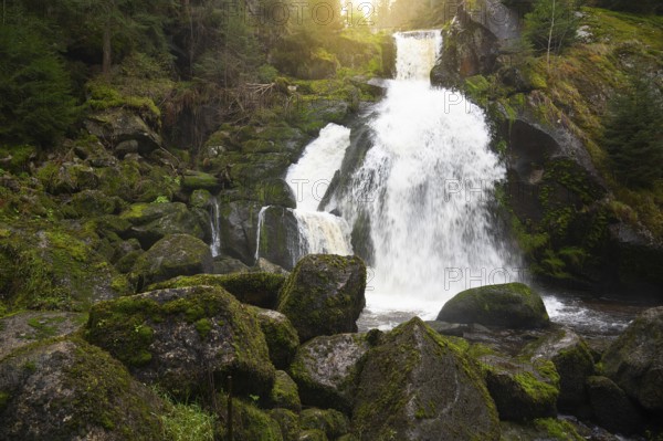 Triberg waterfall in the Black Forest, highest fall in Germany, Gutach river plunges over seven