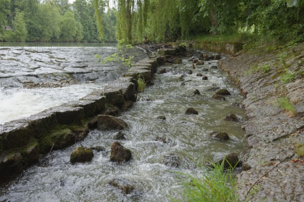 Fish ladder on the Kocher in Künzelsau, Kocher Valley, Hohenlohe, Heilbronn-Franken,