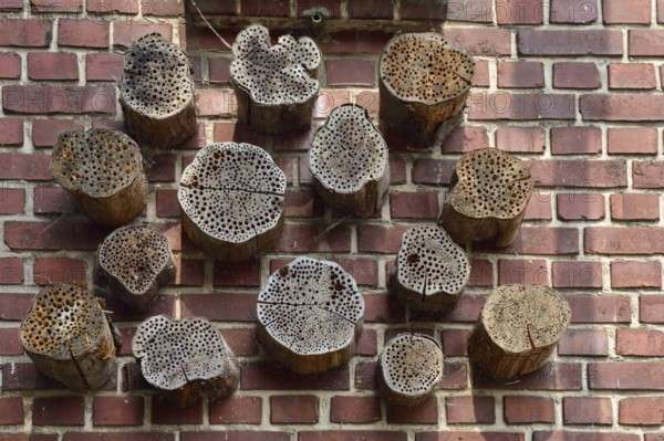 Insect hotel... Transformer house Mönchengladbach (Hilderath), holes drilled in wooden discs