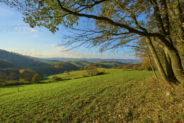 Green hills and meadows stretch out under a blue sky, framed by trees and distant mountains,